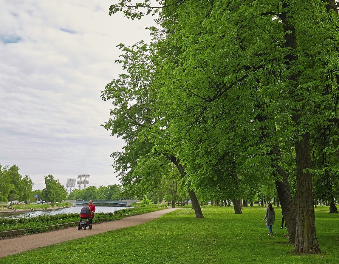 Парки вблизи