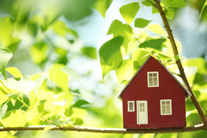 Дышите свободно: как сделать дом безопасным для аллергика