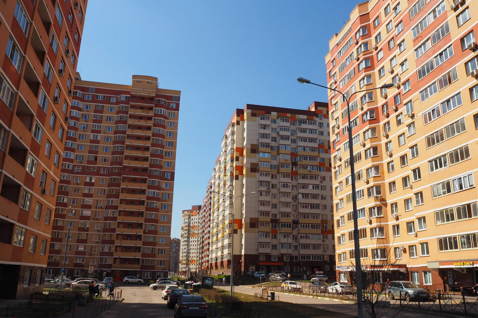 Фото 1: Зеленые аллеи