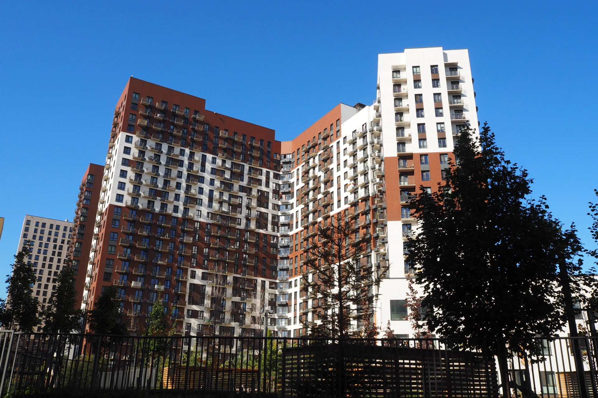 Фото 1: Петр 1