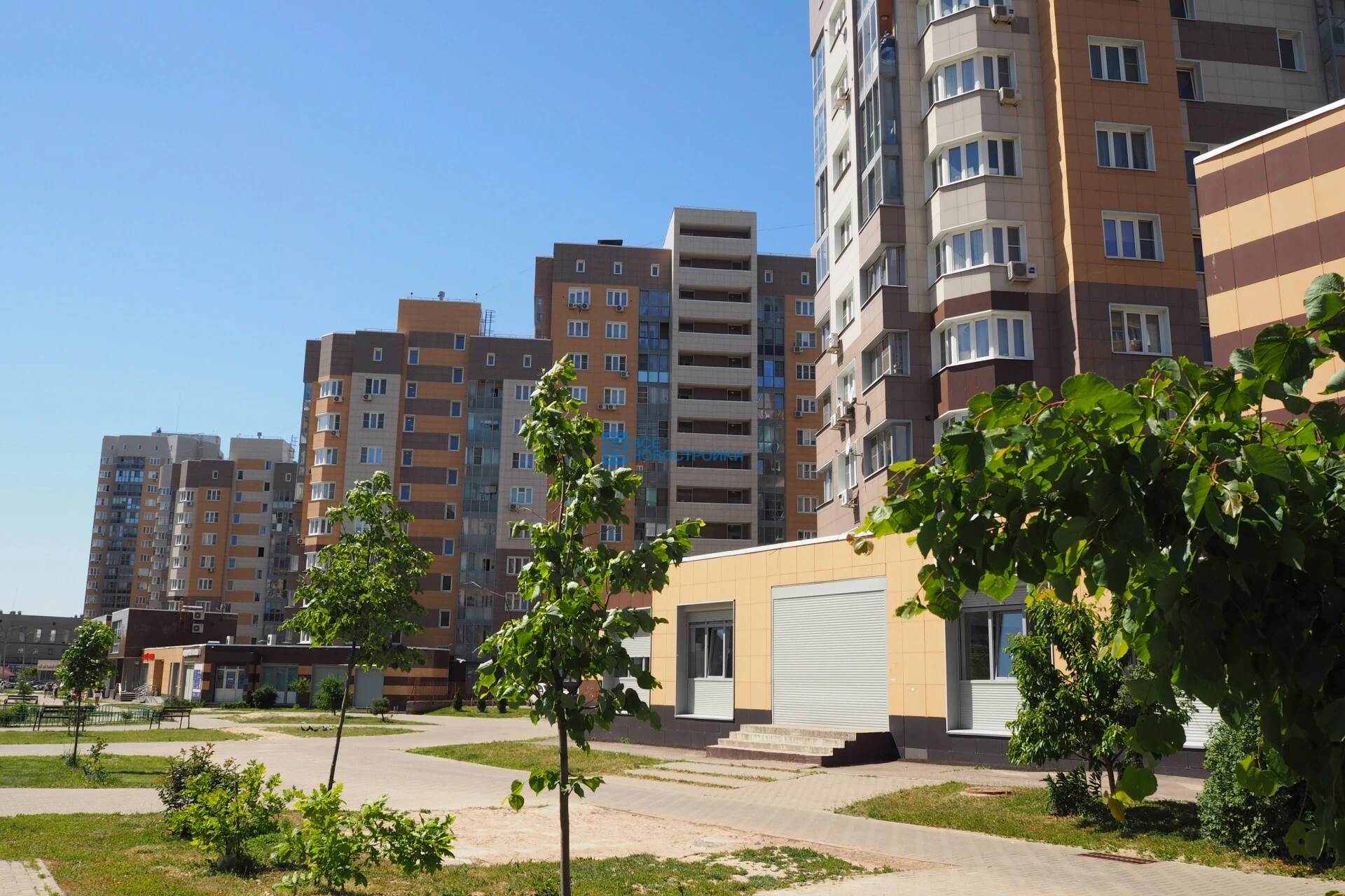 Фото 1: Бородино